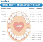 Annhua tooth fairy keepsake box for boys and girls lifestyle display
