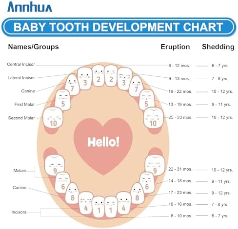 Annhua tooth fairy keepsake box for boys and girls lifestyle display