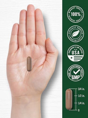 Thirty count bottle of Carlyle Pycnogenol for circulation and wellness support