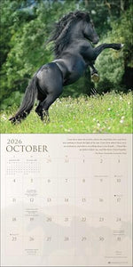 Spirit Horses 2026 Wall Calendar by Tony Stromberg - Image 5