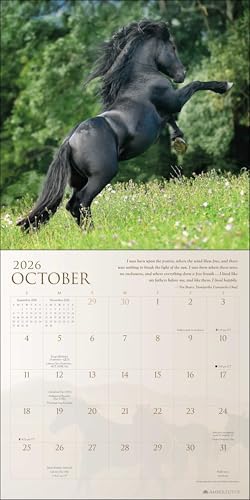 Spirit Horses 2026 Wall Calendar by Tony Stromberg - Image 5