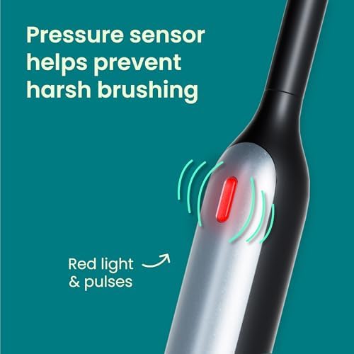 Full contents of the premium Quip oral care kit including the electric toothbrush handle extra replacement head and mount