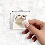 Collection of 100 non repeating cat meme stickers