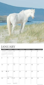 Wild Horses 2026 Wall Calendar - Image 4