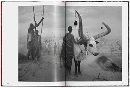 SebastiÃ£o Salgado. Genesis - Image 8