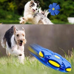 Finndeen interactive children toy package contents showing the expanded ball shape.