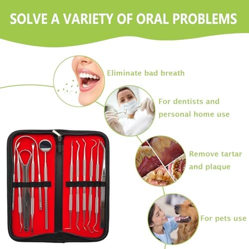 Premium food grade stainless steel tongue scraper and dental picks for advanced oral care.