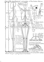 Anatomy and Drawing (Dover Art Instruction) - Image 7