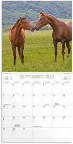 Horses 2025 Wall Calendar - Image 5