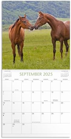Horses 2025 Wall Calendar - Image 5