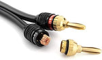 Back view of the wider base on Sewell deadbolt quick connect audio plugs.
