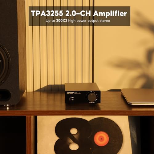 AIYIMA A07 Class D stereo audio amplifier back panel showing RCA inputs and speaker terminal layout.