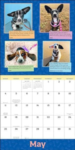 WeRateDogs 2025 Wall Calendar - Image 5