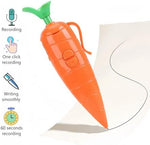 Close-up perspective of the easy-to-use audio recording and playback buttons on the UMATRU carrot-shaped digital memo device.