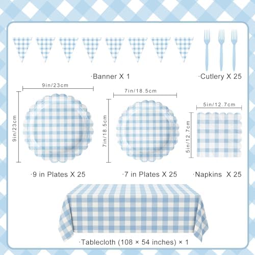 Close up of scalloped edge blue gingham paper plates