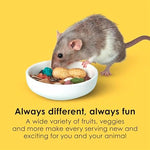 Textures and shapes of crunchy pieces in Kaytee Fiesta food for dental health