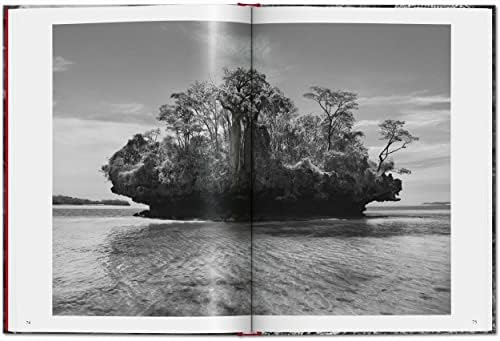 SebastiÃ£o Salgado. Genesis - Image 7