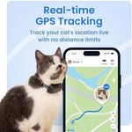 Side profile of Tractive GPS tracker for cat activity tracking