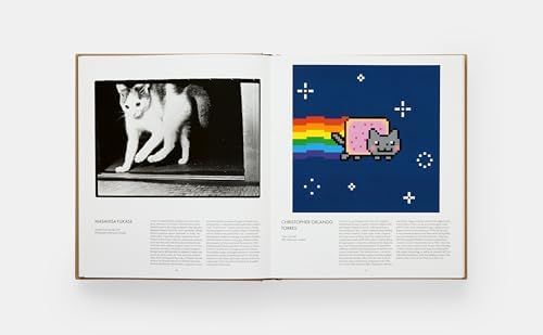 Cat - Image 7