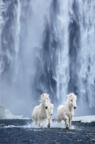 Untamed Spirits: Horses From Around the World - Image 3