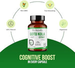 Non GMO and gluten free herbal memory booster supplement for adults
