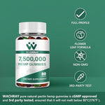 Three bottle pack of Wachray organic hemp relaxation gummies
