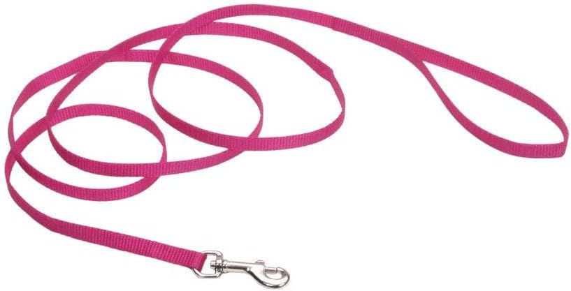 Coastal Pet Single-Ply Dog Leash - Sturdy Pet Leash - Comfortable & Stylish - Resists Fraying - Vibrant & Fade-Resistant Color - Neon Pink, 3/8" x 6' - Image 9