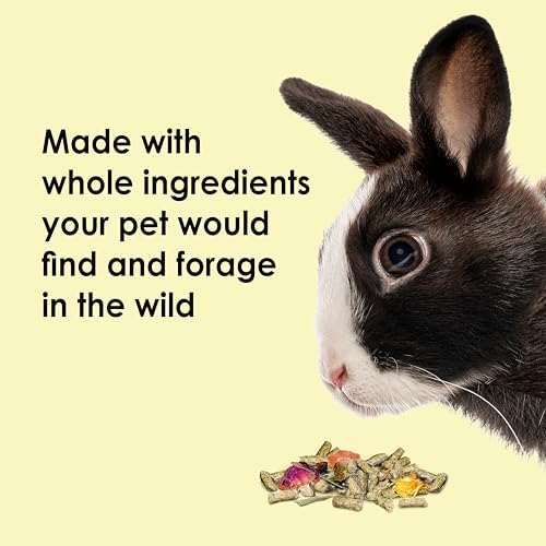 Alfalfa free rabbit pellet and natural dried flower forage mix close up view
