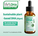 Side view of Nature's Nutra Vegetarian Baby DHA liquid supplement displaying instructions and non-GMO claims.