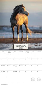 2026 Horses Wall Calendar - Image 4