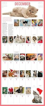 365 Kittens-A-Year Picture-A-DayÂ® Wall Calendar 2026: The World's Favorite Kitten Calendar - Image 6