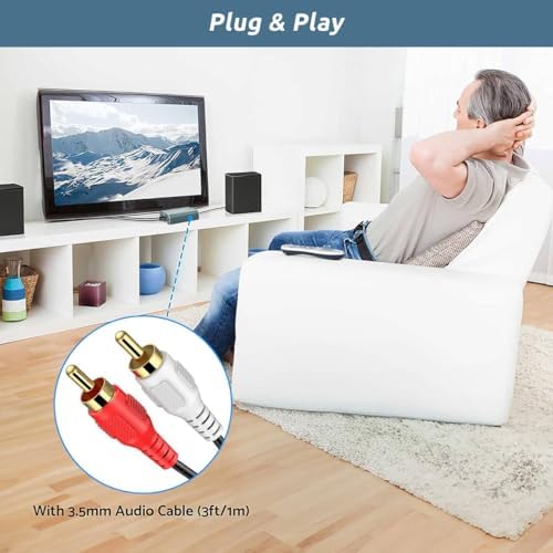 AMANKA digital to analog setup connected to a modern television outputting to analog speakers.