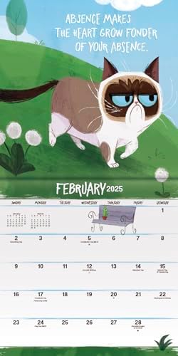 2025 Grumpy Cat Mini Wall Calendar - Image 4