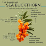 SeabuckWonders Himalayan sea buckthorn oil softgels displaying pure amber colored capsules