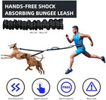 Close up view of high visibility reflective stitching on Uppetly hands free leash