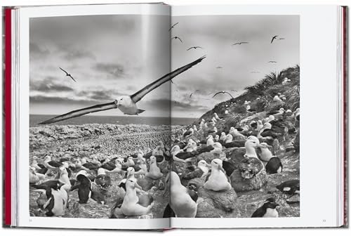 SebastiÃ£o Salgado. Genesis. 45th Ed. (45th Edition) - Image 7