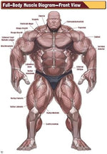 Manga Muscles: An Artist's Guide to Drawing Powerful Male Bodies [With Over 500 color and B&W illustrations] - Image 8