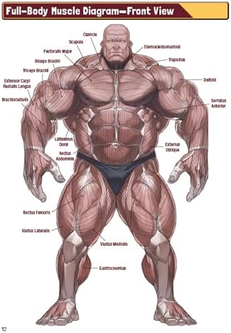 Manga Muscles: An Artist's Guide to Drawing Powerful Male Bodies [With Over 500 color and B&W illustrations] - Image 8