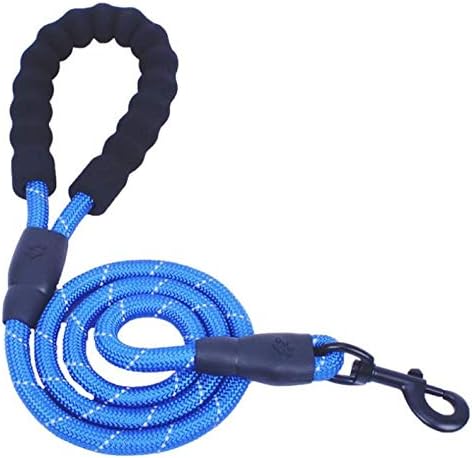 Alluring Pet Friends blue strong dog leash front view
