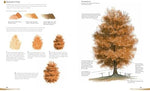 Watercolour Landscapes for the Absolute Beginner - Image 7