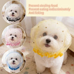 MdouLy extra extra small puppy muzzle mesh texture close up