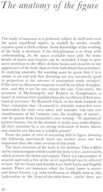 Anatomy and Perspective: The Fundamentals of Figure Drawing - Image 5