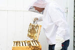 Detailed view of elastic cuffs on Vivo beekeeping jacket