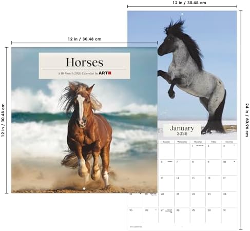 2026 Horses Wall Calendar - Image 8