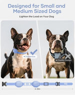 USA imported premium electronic pet collar for behavioral training in India