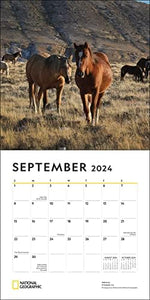 National Geographic: Horses 2024 Wall Calendar - Image 6