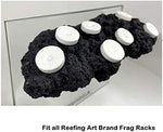 One hundred pack of white ceramic coral frag plugs for marine aquariums