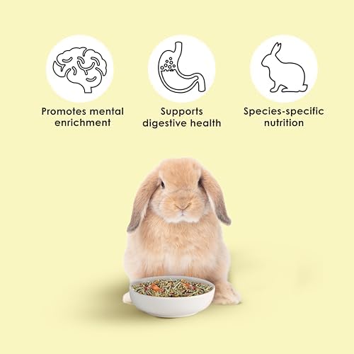 High fiber adult rabbit food blend by Kaytee brand imported pet supply