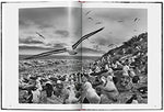 SebastiÃ£o Salgado. Genesis - Image 5