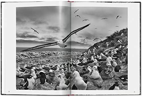 SebastiÃ£o Salgado. Genesis - Image 5